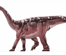 Blikanasaurus