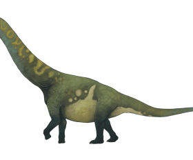 Bothriospondylus