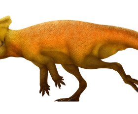 Breviceratops
