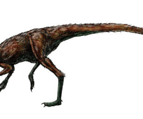 Calamosaurus