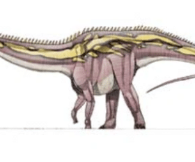 Cetiosauriscus