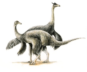 Anserimimus