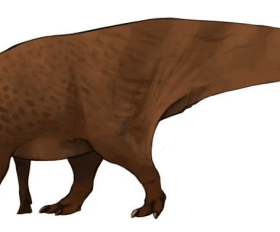 Aralosaurus