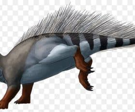 Asiaceratops