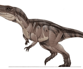 Betasuchus