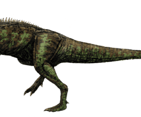 Chilantaisaurus